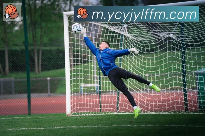 华体在线登录官网发展历程