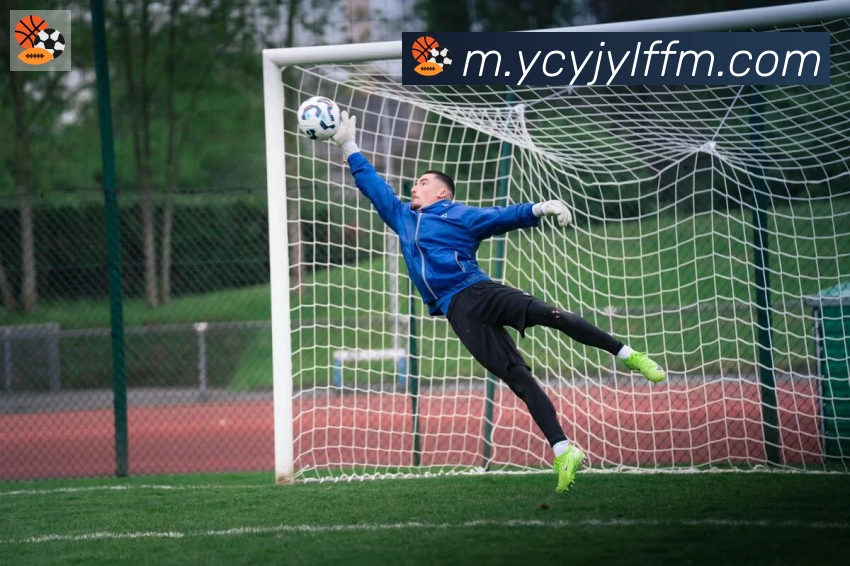 华体在线登录官网荣誉