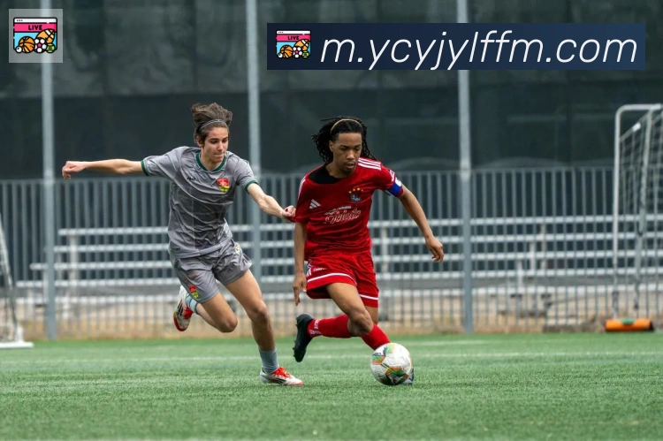 华体在线登录官网荣誉