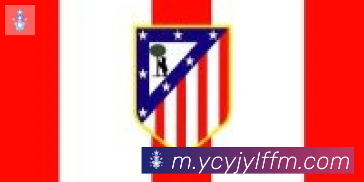 华体在线登录官网合作伙伴